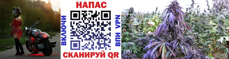 Где можно купить наркотики Клинцы ГАШИШ Канабис КОКАИН Амфетамин Мефедрон