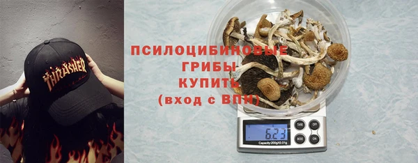 амф Алзамай