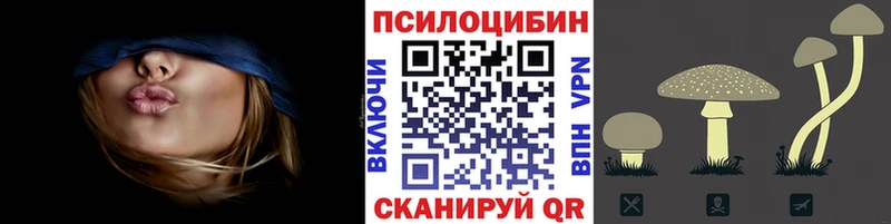 Псилоцибиновые грибы прущие грибы  Клинцы 