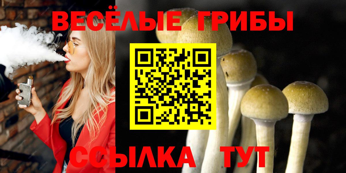 Псилоцибиновые грибы MAGIC MUSHROOMS  Вход с VPN  наркотики  Клинцы 